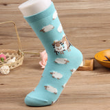 Korean Style Cotton Socks – Breathable Jacquard Women’s Casual Design