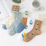 Women’s Autumn Morandi Mid-Calf Socks – 5 Pairs Combed Cotton Set